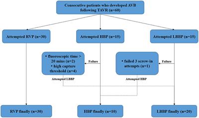 Conduction System Pacing for Post Transcatheter Aortic Valve Replacement Patients: Comparison With Right Ventricular Pacing